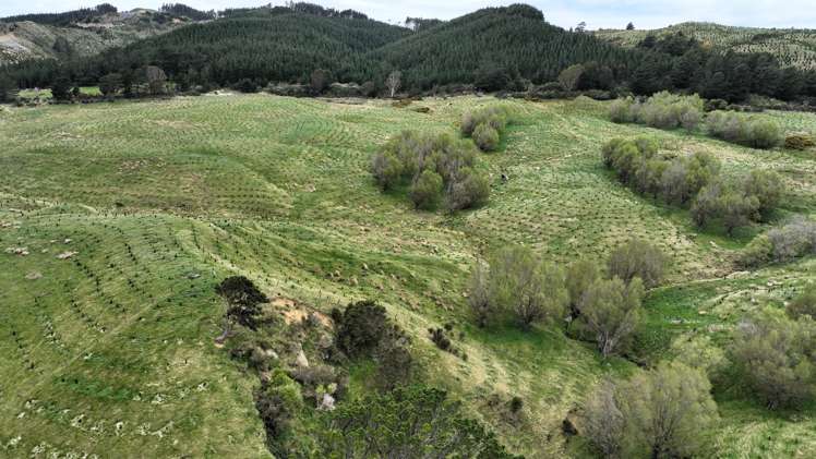 2164 Te Mai Road Tinui Valley_9