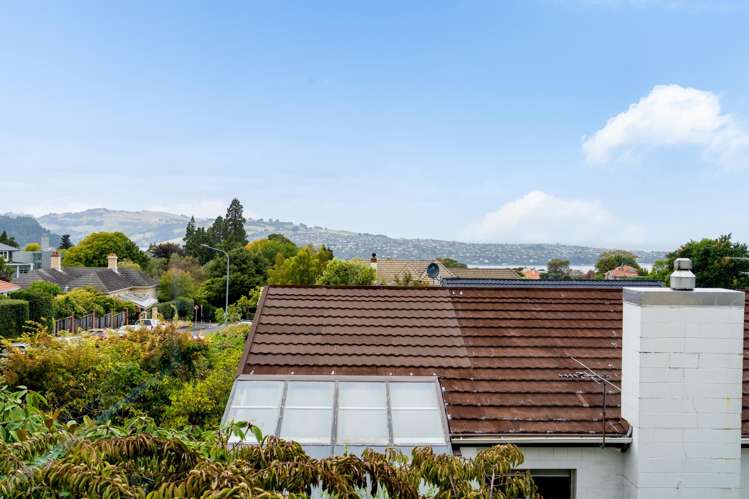 488 and 490 Highgate Maori Hill_28