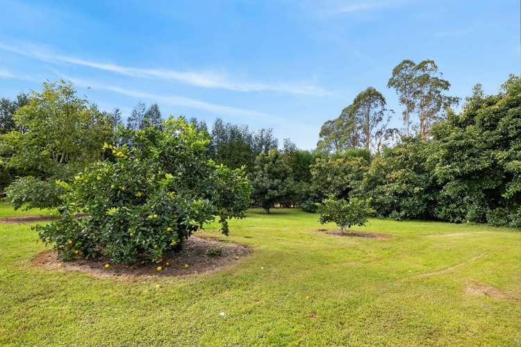 536 Maniatutu Road Pongakawa_19