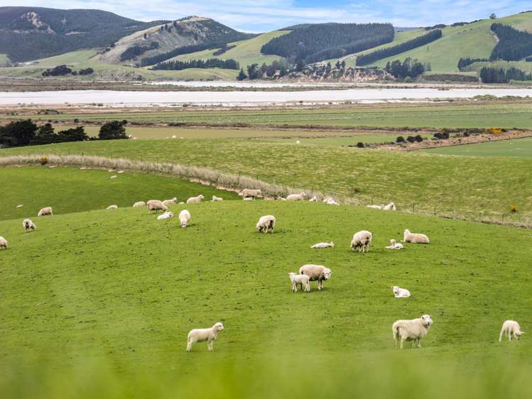 93 Baker Road, 66 Waihola Hill Road and Berwick Road Clarendon_23