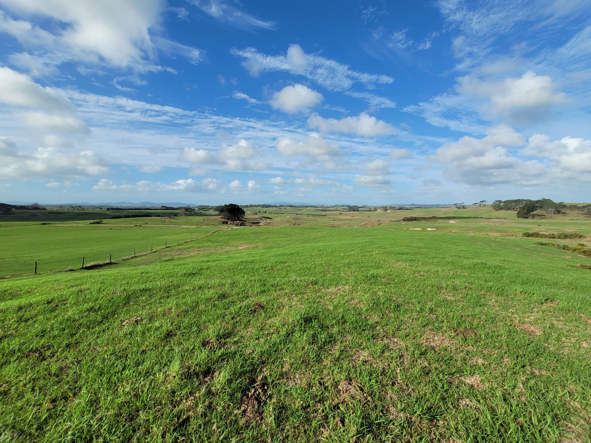 455 Mount Wesley Coast Road Dargaville_0