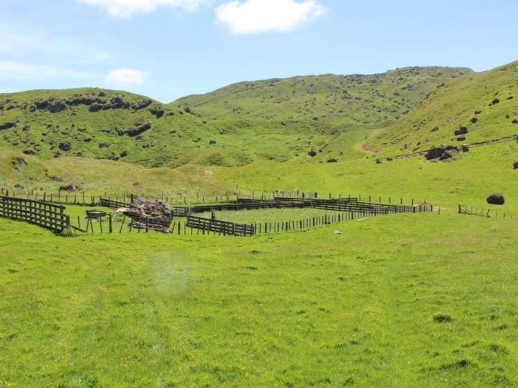 858 Oporae Road Weber_25