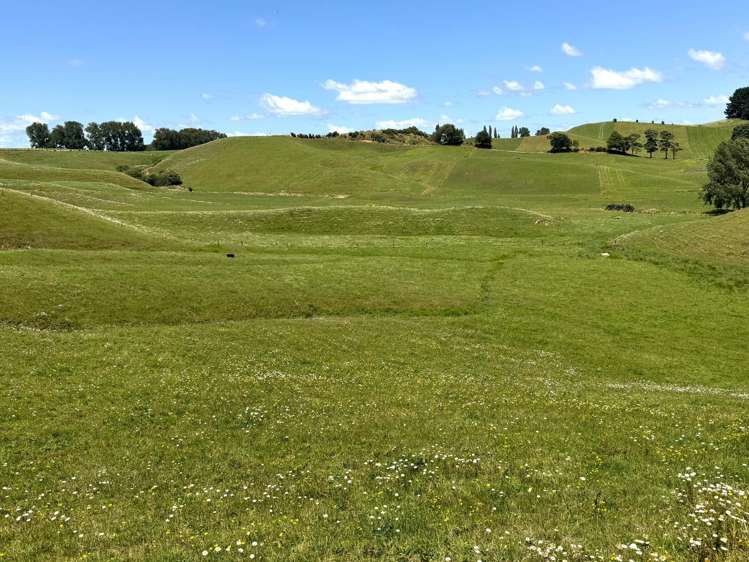 219 Waitomo Valley Road Otorohanga_18