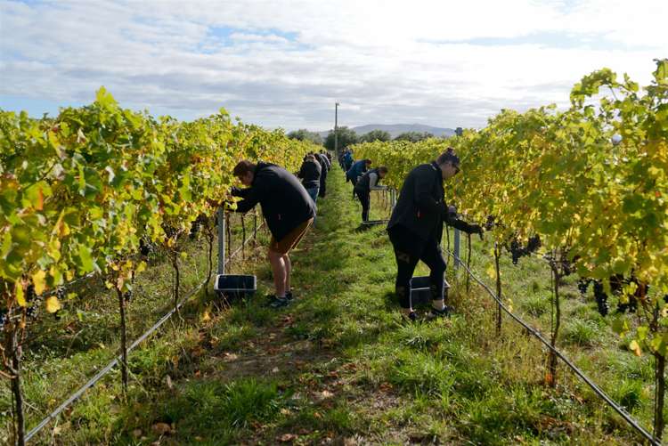 328 Georges Road Amberley_9