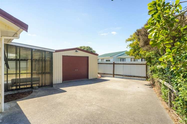 2 Walton Street Bulls_3