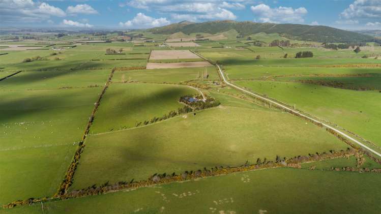 219 Wyndale Road Springfield_32