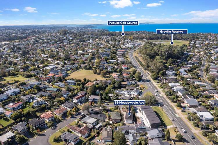 59 Meadowvale Avenue Forrest Hill_25