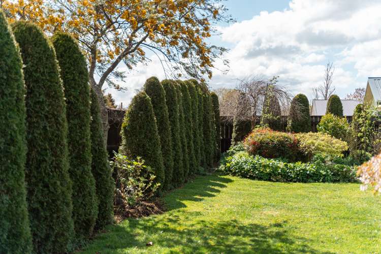 79 Reading Street Greytown_18