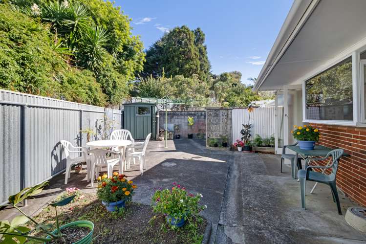 1/12 Bridge Street Panmure_13