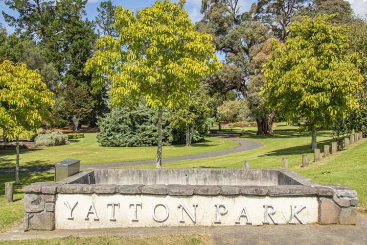 455B Fraser Street Parkvale_20