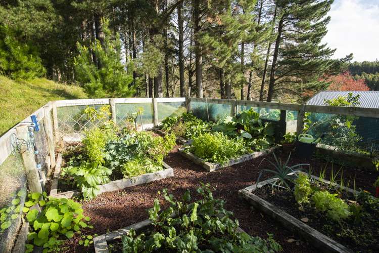 162b Matokitoki Valley Road Matokitoki_19