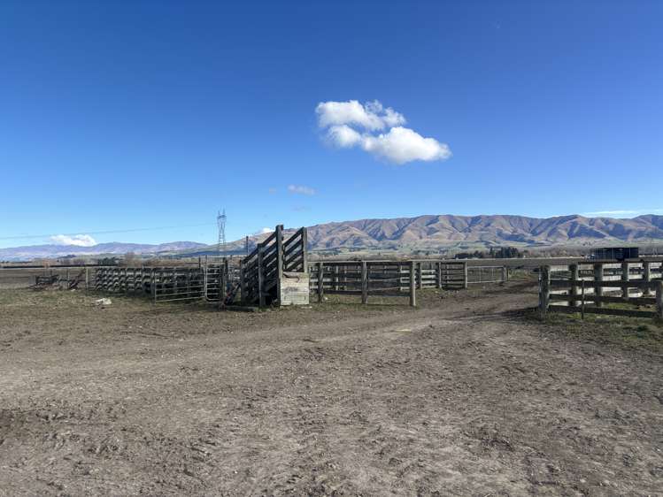 311 Hamilton Road Fairlie_2