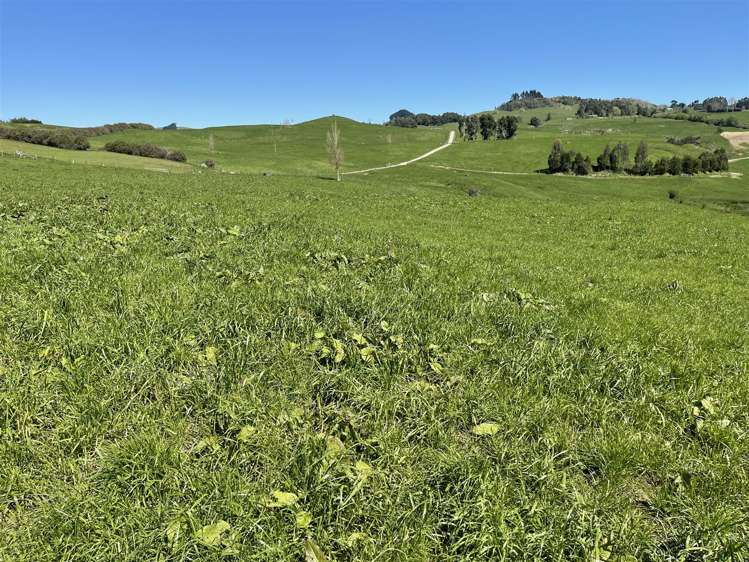 788 Troopers Road Te Kuiti_5