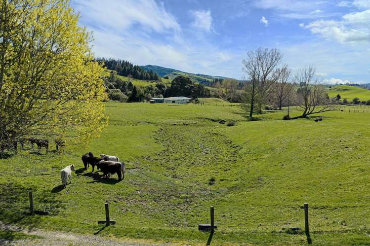 468 Waikoau Road Tutira_11