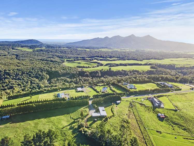 1089 Plymouth Road Koru_29