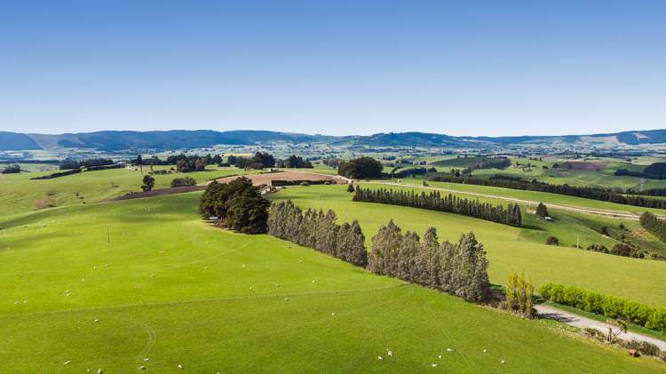 1087 Table Hill Road Milton_0