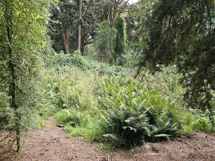 147 Chicory Road Inch Clutha_24