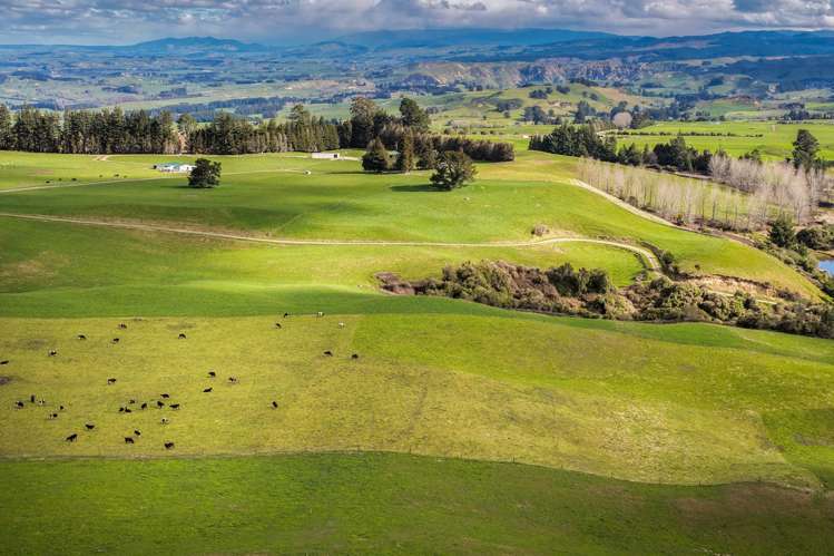 3986 Puketitiri Road Patoka_7