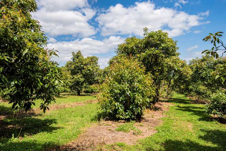 1700 State Highway 14 Maungatapere_19