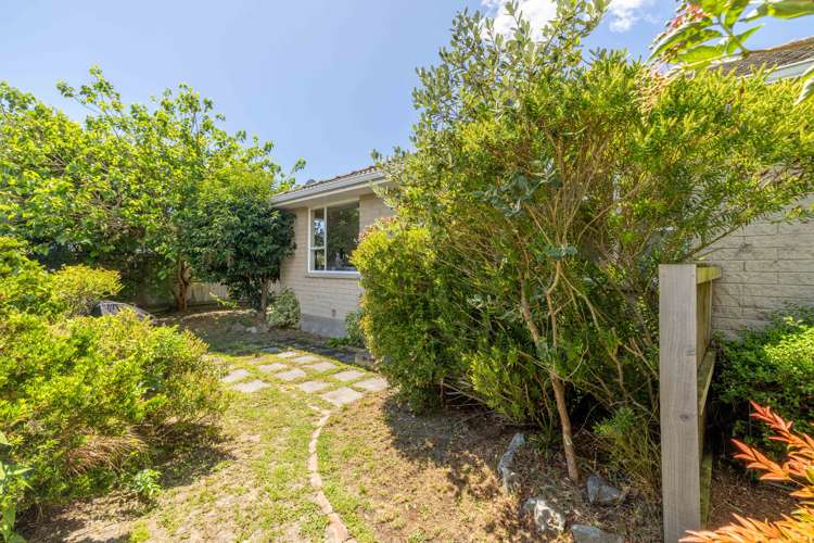 4/471 Hereford Street Linwood_8