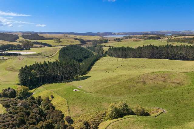 273 Redcliffs Road Kerikeri_2