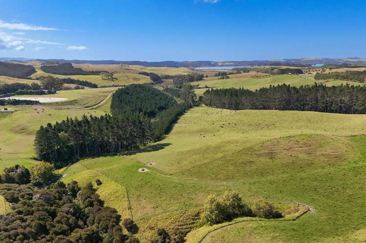 273 Redcliffs Road Kerikeri_2