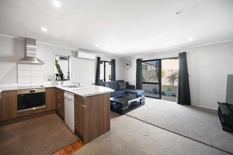 31e Willoughby Street Whitiora_3