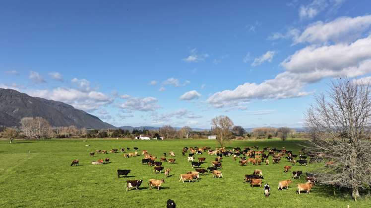 57 Ohutu Road Galatea_15