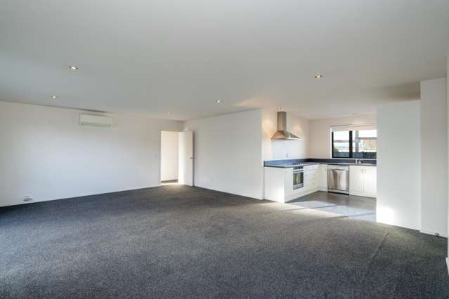 213 North Road Waikiwi_4