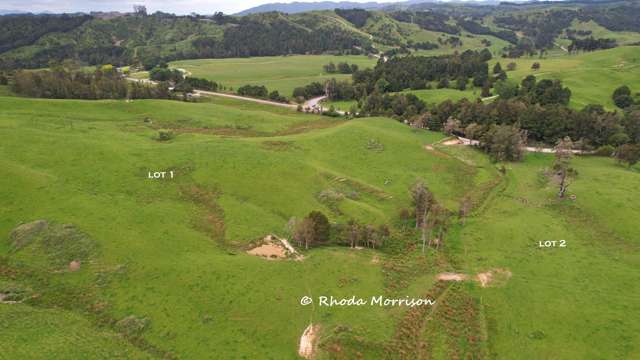 Vendor Meets Market - 17 Ha Close to Town
