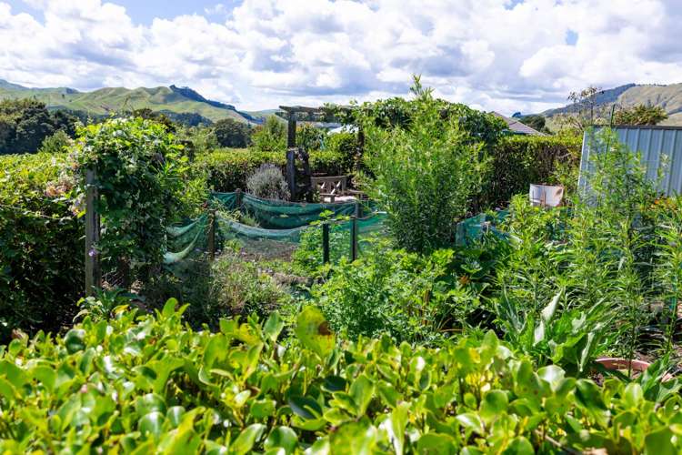 96 Mangapiko Valley Road Waiterimu_35