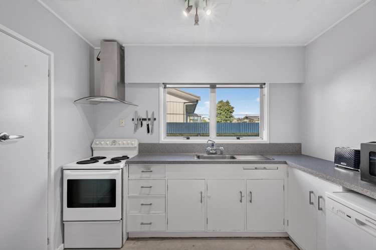 1 Arney Street Tamatea_7