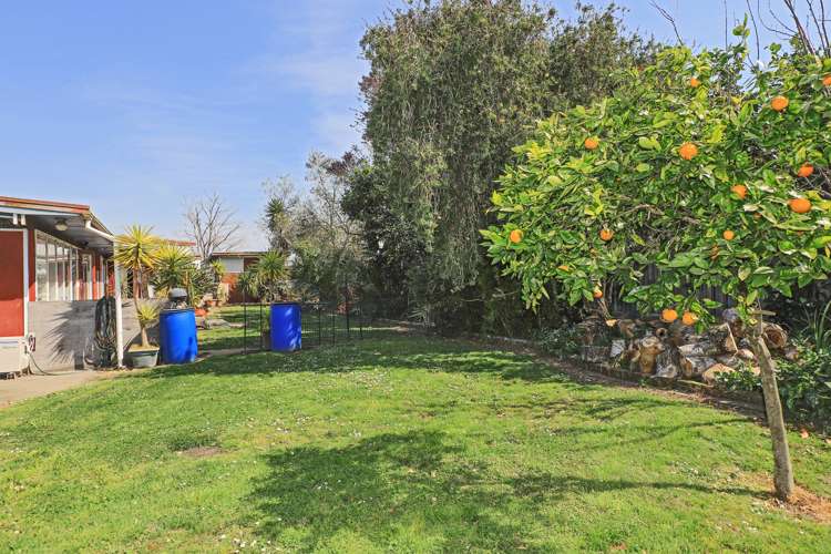 806a Gordon Road Raureka_11