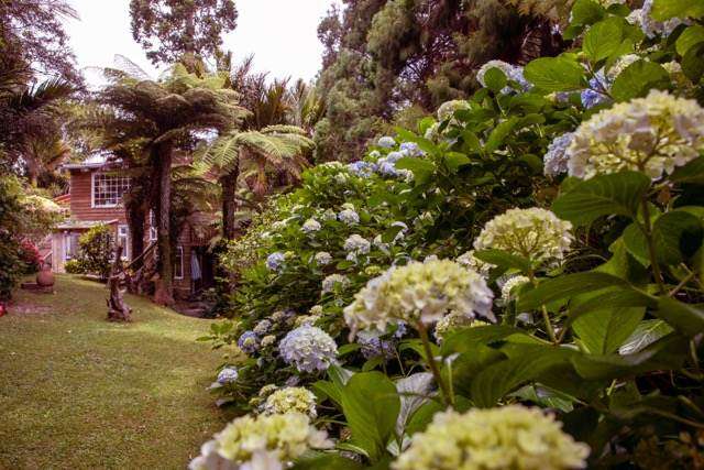 51 Wood Bay Road Titirangi_3