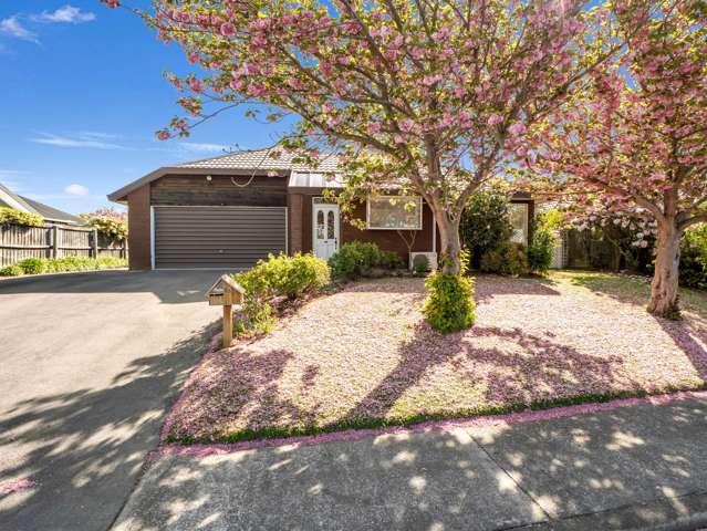 Wow On White Street!