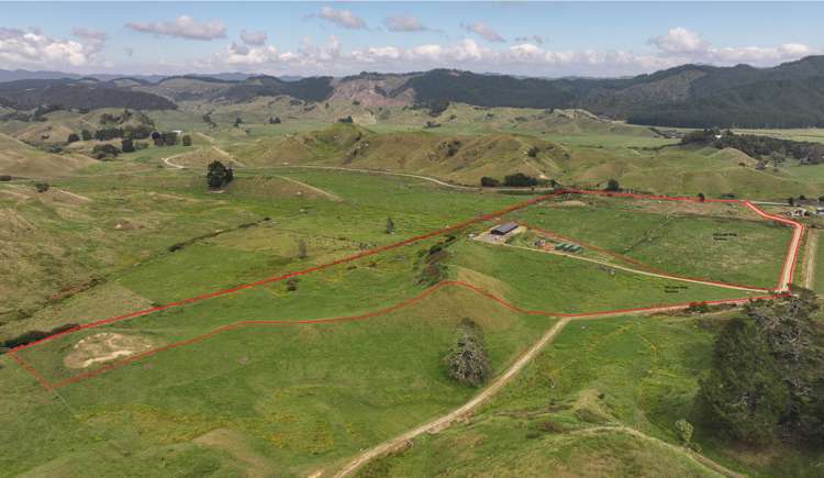 546 Foster Road Taneatua_17