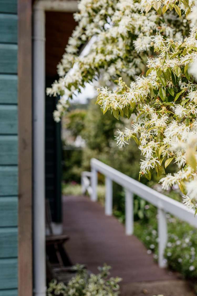107a McGarvey Road Whakatane_26