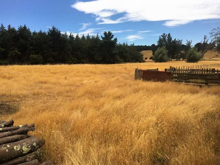 2 Holden Road Tikokino_19