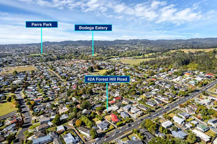 42a Forest Hill Road Henderson_28
