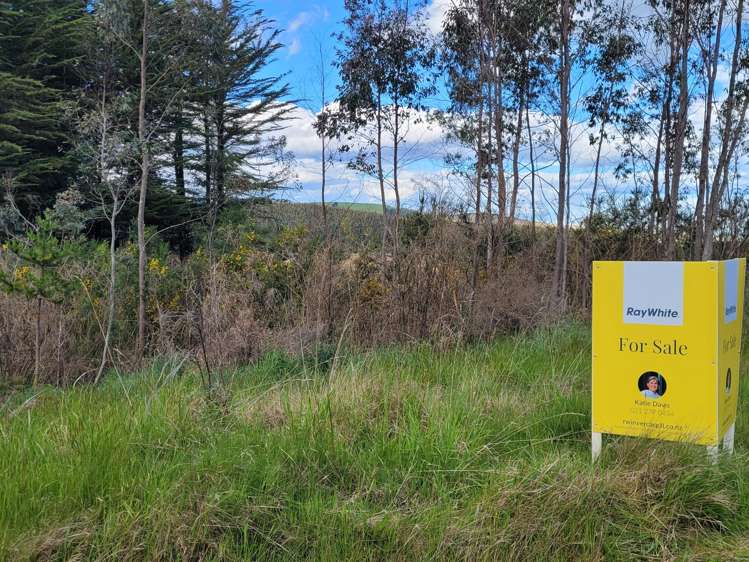 200 Nightcaps Ohai Highway Ohai_9