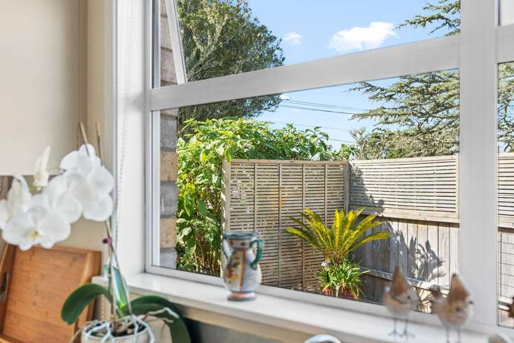 203 Parkhurst Road, Parakai Helensville_17