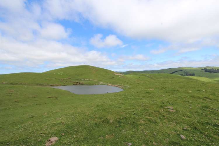 13151 Puketawa Road Tiraumea_23