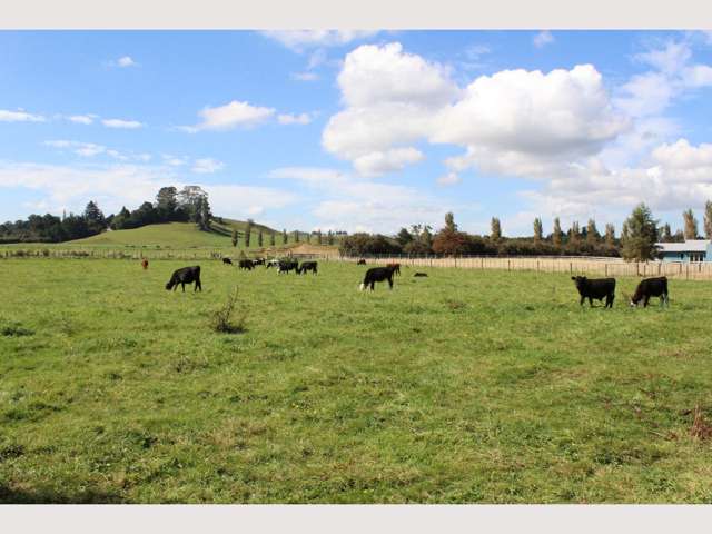 131 Burns Street Ohakune_4