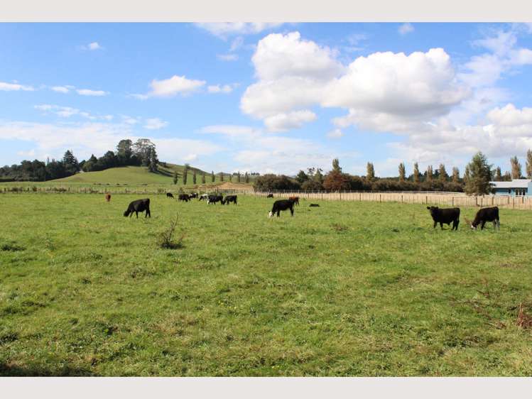 131 Burns Street Ohakune_4