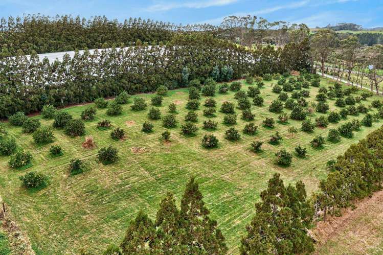 Lot 1/69a Vineyard Lane Mangawhai_12