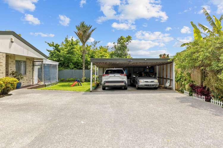 73A Rimu Street New Lynn_3
