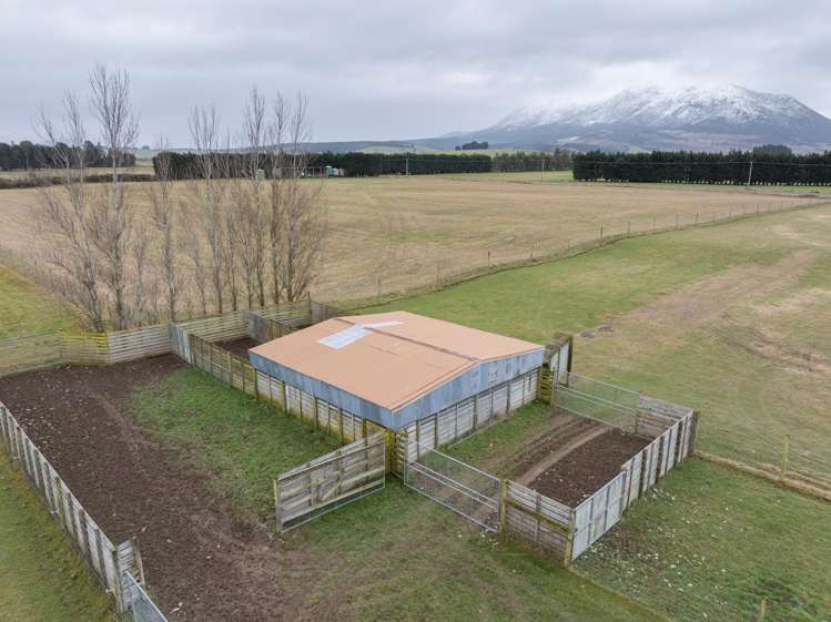 199 Mossburn Five Rivers Road Te Anau Surrounds_6