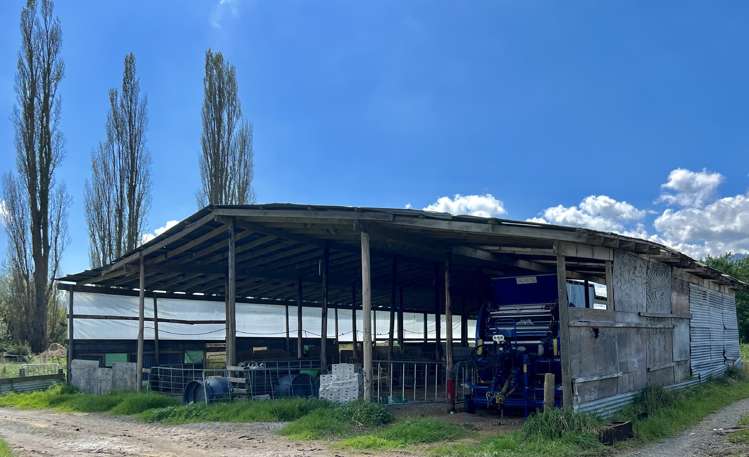 3931 Galatea Road Murupara Surrounds_21