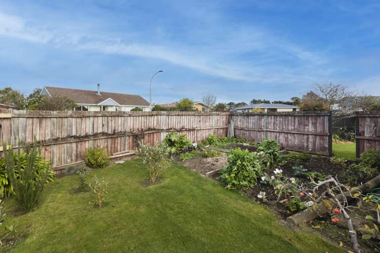 4 Cowper Place Avondale_15