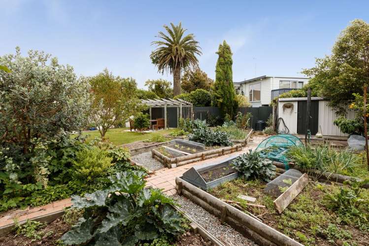 19 Sheffield Street Awapuni_16